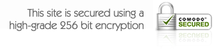 This Page is Secure